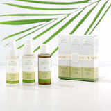 Dilo Restorative Trio
